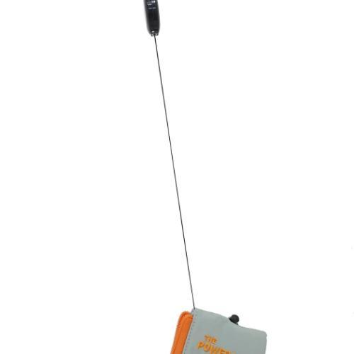 Powerpuff Girls｜Key Case /Pass Case Key /Pass Pouch ｜75x125mm approx.