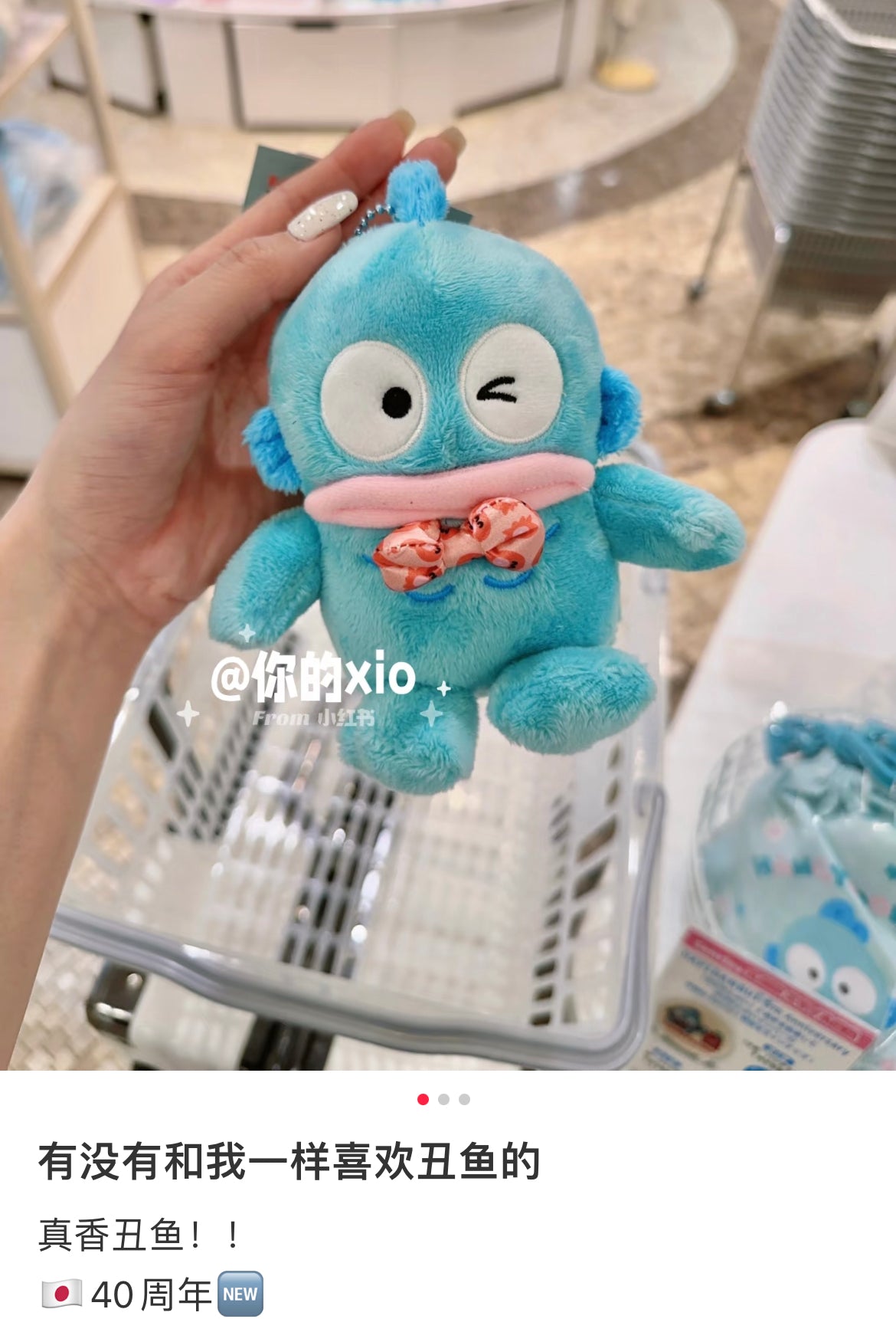 Sanrio｜Hangyodon 40th Anniversary Happy Life Mascot Holder /Plush Keychain｜13×8×15cm approx.