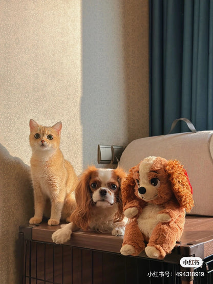 Disney迪士尼｜东迪Soft Plush Doll Lady超柔软淑女大小姐狗狗公仔/玩偶｜约H12×W14×D32cm