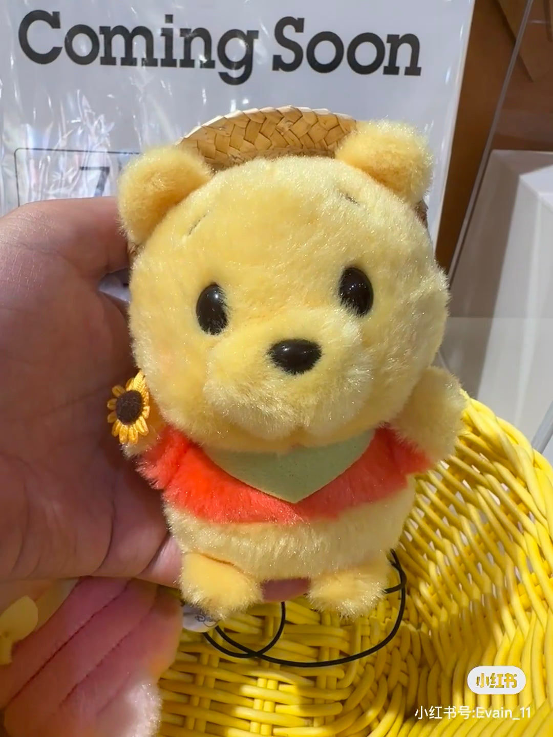 Disney｜2024 Winnie the Pooh草帽豆豆眼玩偶/手玉｜約高さ11.5×幅8.5×奥行き9cm