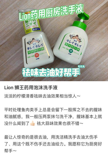 Lion狮王｜Kitchen Antibacterial Cleansing Hand Soap趣净药用厨房用去腥味去油泡沫洗手液｜230ml
