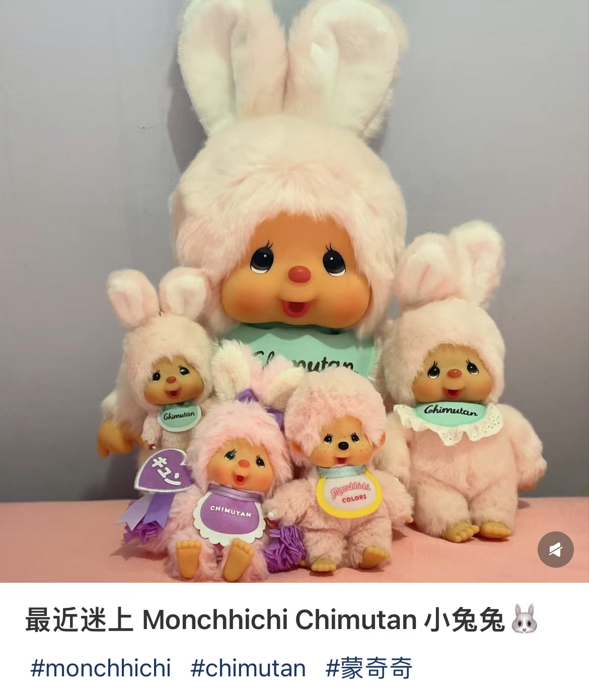 Monchhichi｜Chimutan Bunny Standard Plush Dolls/Plush Toy｜M/H34 x W14.5 x D10 cm approx.
