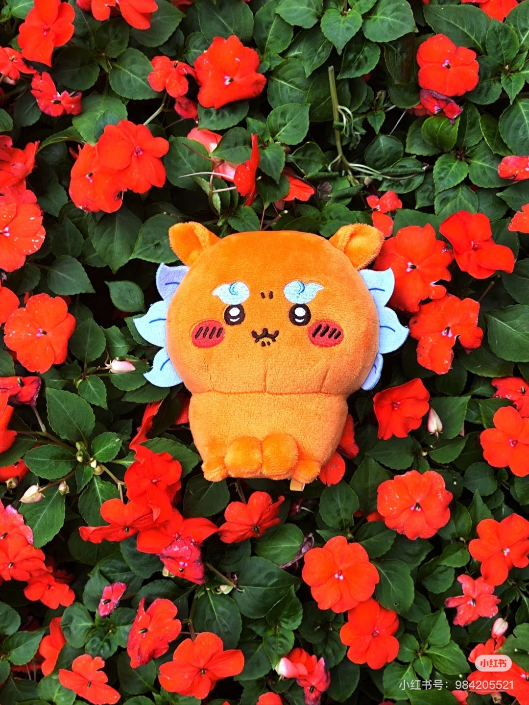 Chiikawa 吉伊卡哇｜风狮祭狮萨/拉面狮萨公仔/玩偶｜约H140 x W150 x D70mm