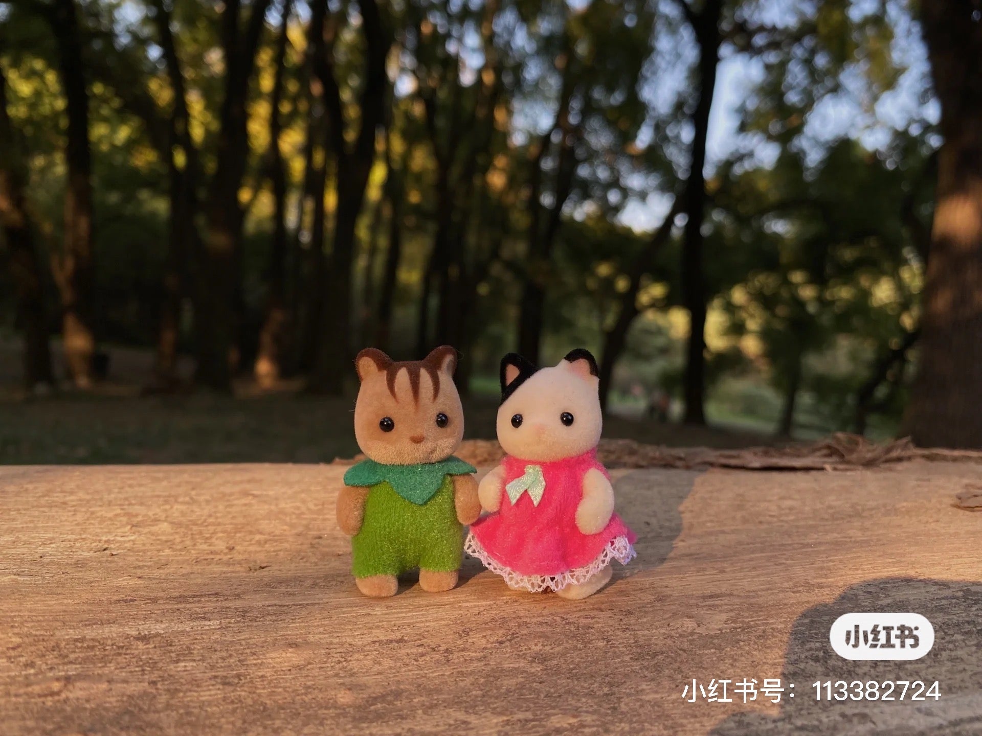 SylvanianFamilies森贝儿家族｜baby fairytale 童话会站宝摆件盲袋/盲盒/全8种｜1枚入