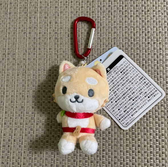 Sanrio｜JOCHUM Carabiner Mascot Holder /Plush Keychain