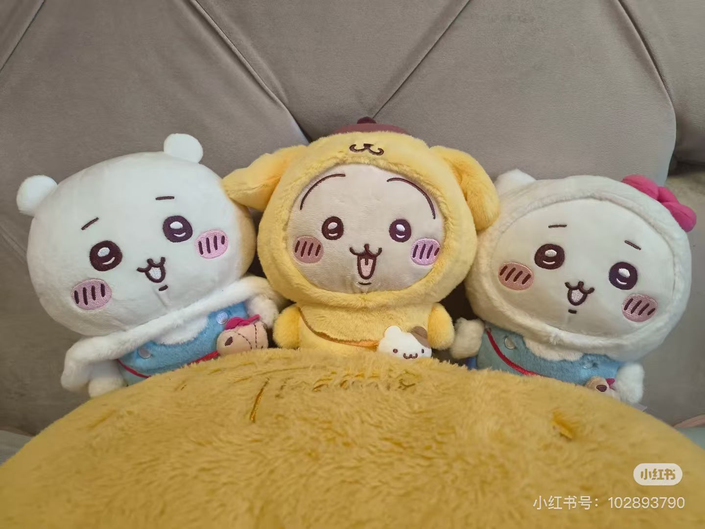 【limit 1】Sanrio｜Chiikawa X Sanrio Characters  Plush Dolls/Plush Toy｜16 x 19 x13cm approx.