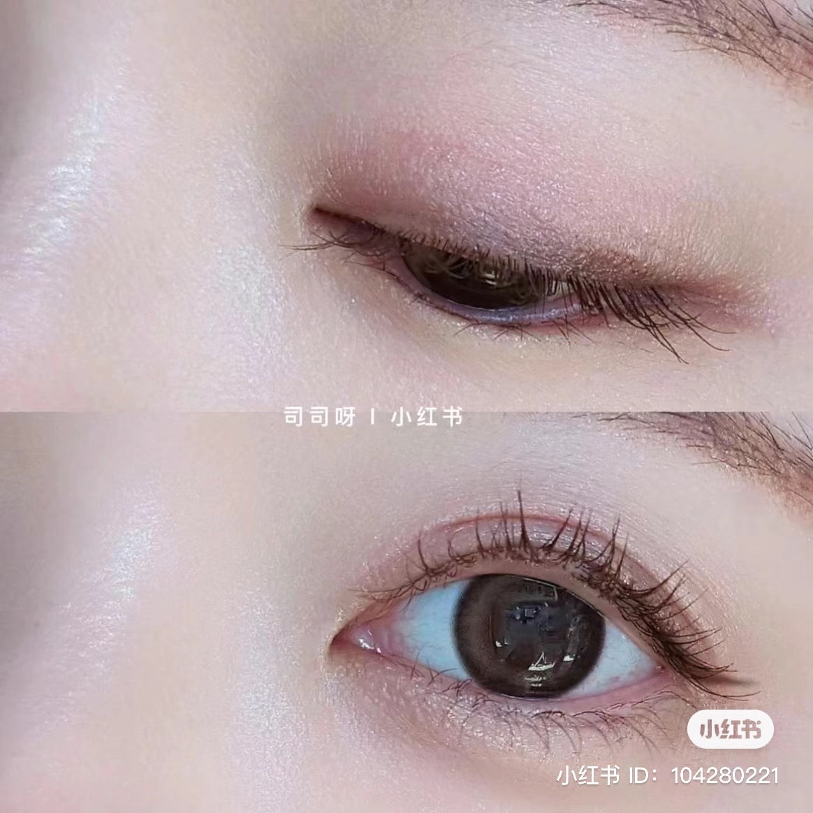 Amplitude｜Conspicuous Eyes Eyeshadow｜4.7g