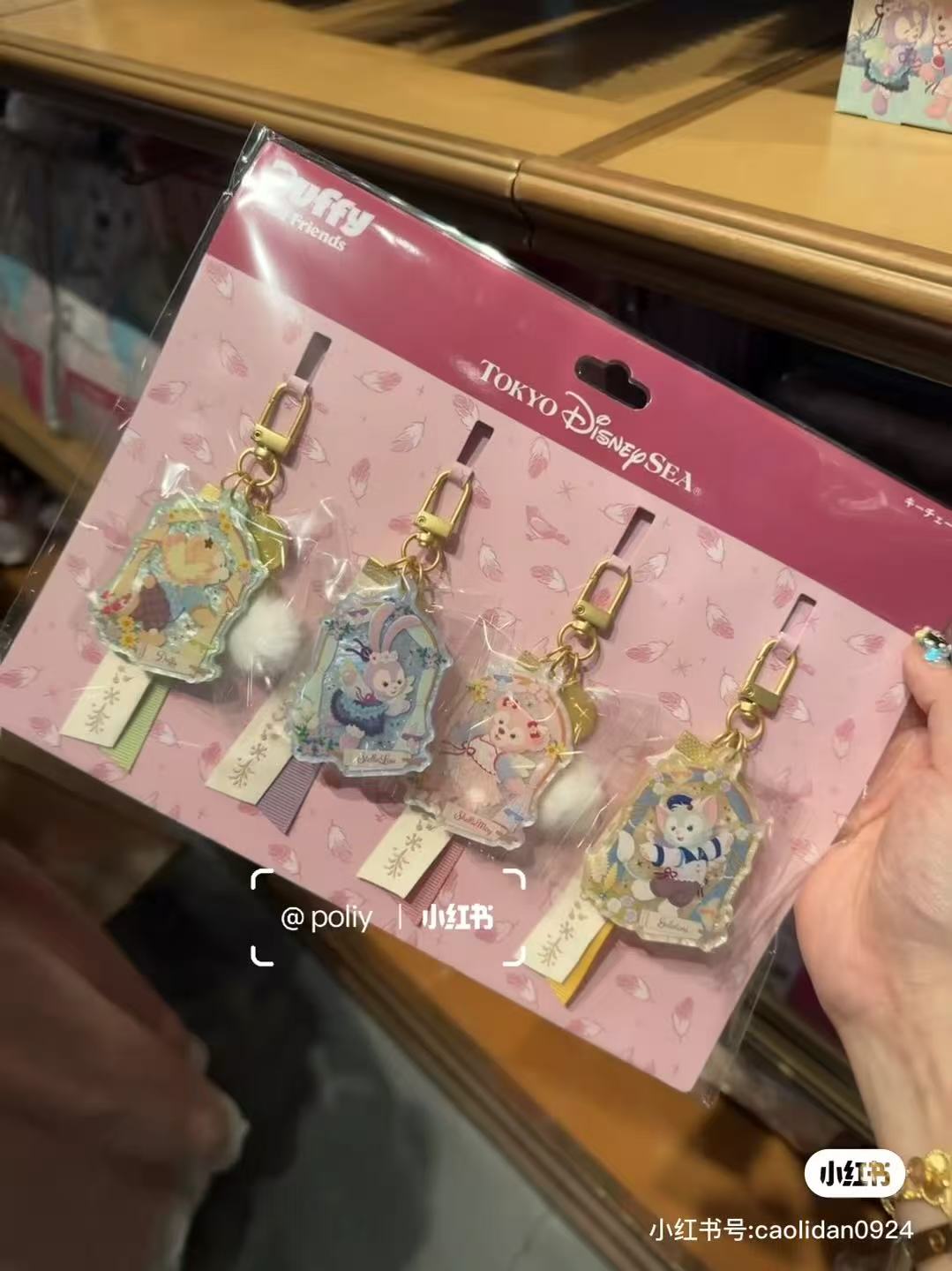 Disney｜Duffy &amp; Friends&quot;Wishing Wings&quot; Collection Keychains Set