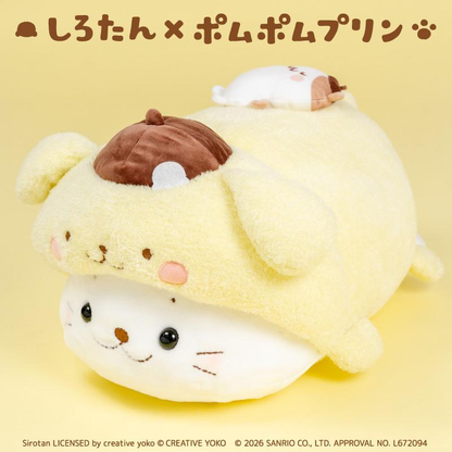 【click &amp; collect】Sanrio｜Shirotan x Pompompurin Hugging Pillow｜55cm x 30.5cm x 24.4cm approx.