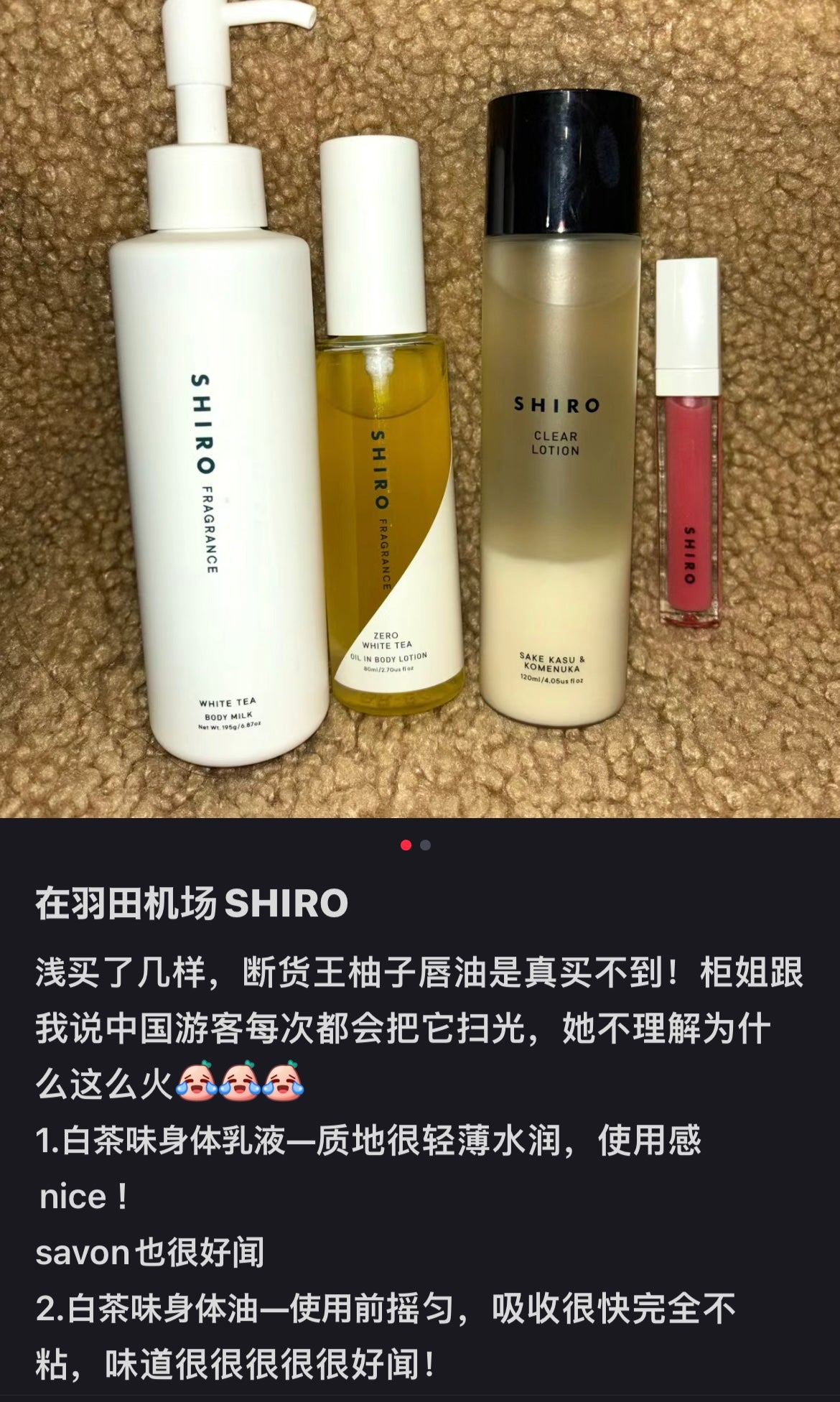 Shiro｜北海道ZERO限定WHITE TEA白茶保湿香氛身体油/水油混合/易推开易吸收/嫩嫩软软超好闻/Hydrating Moisturizer｜80ml