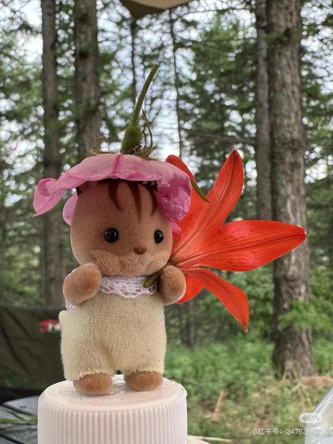 SylvanianFamilies森贝儿家族｜Walnut Squirrel Baby 核桃松鼠宝宝包包帽子站宝套装/四肢可动/玩具/过家家5406