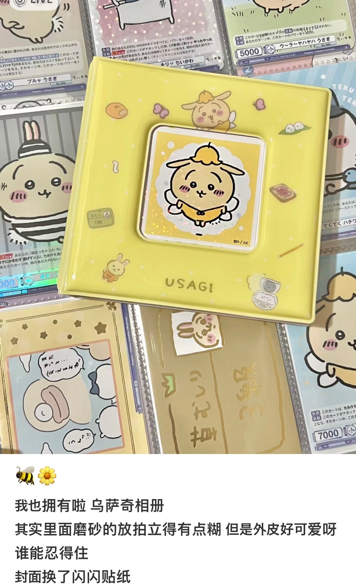Chiikawa 吉伊卡哇｜软软外壳卡册/手掌相册/拍立得相册/邮票/贴纸收藏/抽卡收藏/侧面还可挂挂链｜10卡位入