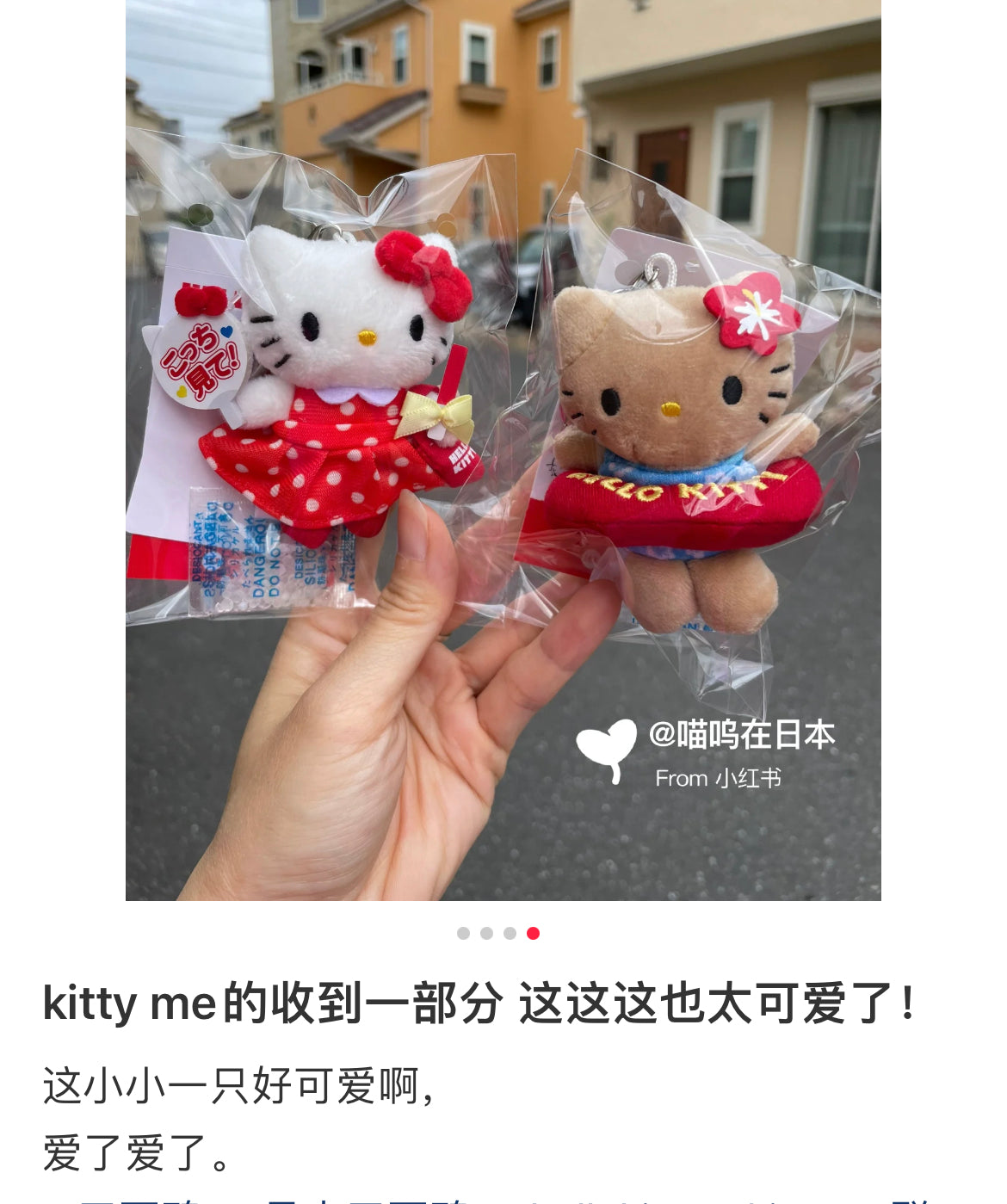Sanrio｜.st lowrys farm me% Mascot Holder /Plush Keychain
