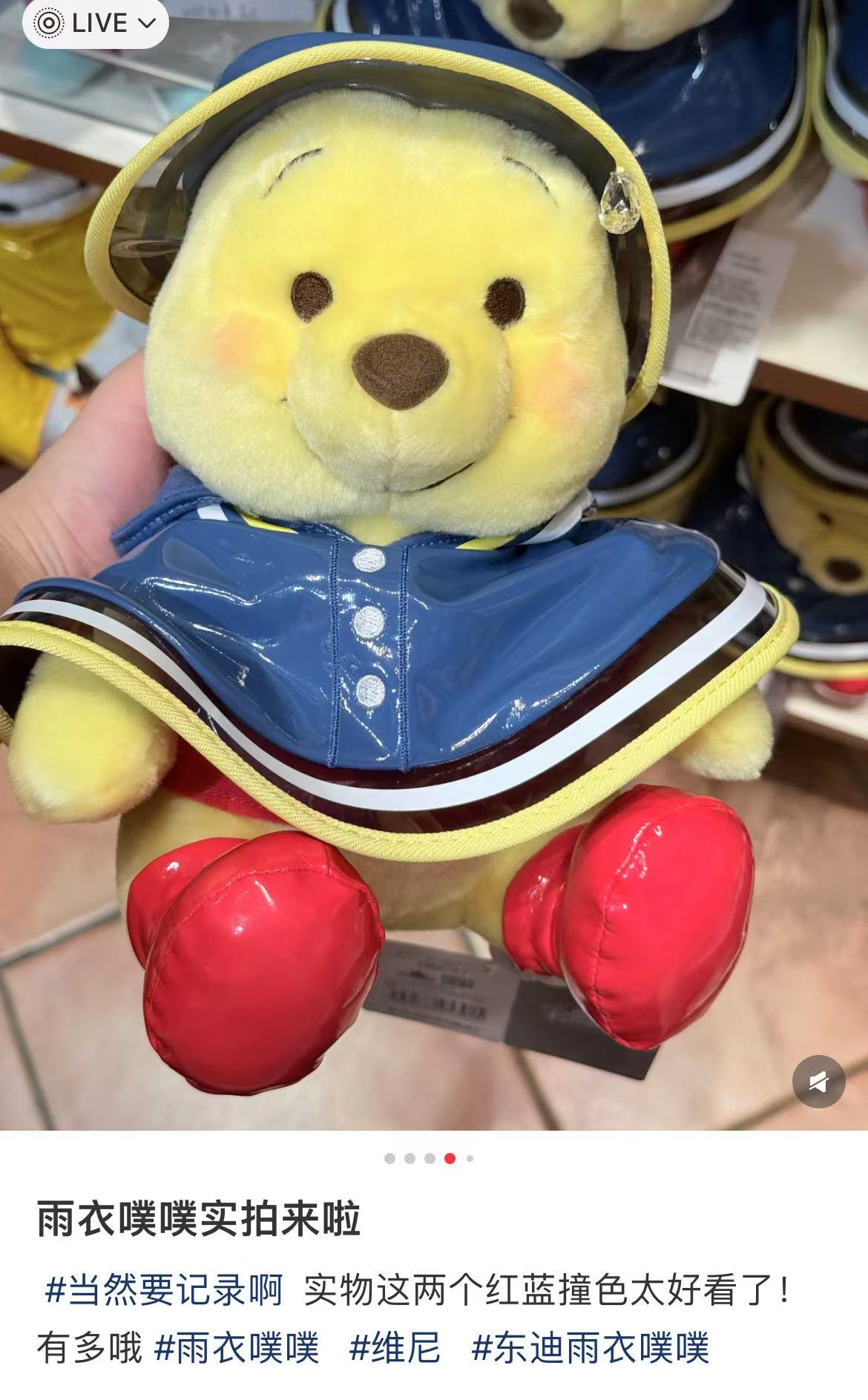 Disney｜Raindrop &amp; Raincoat Plush Dolls/Plush Toy｜H24×W21×D19cm approx.