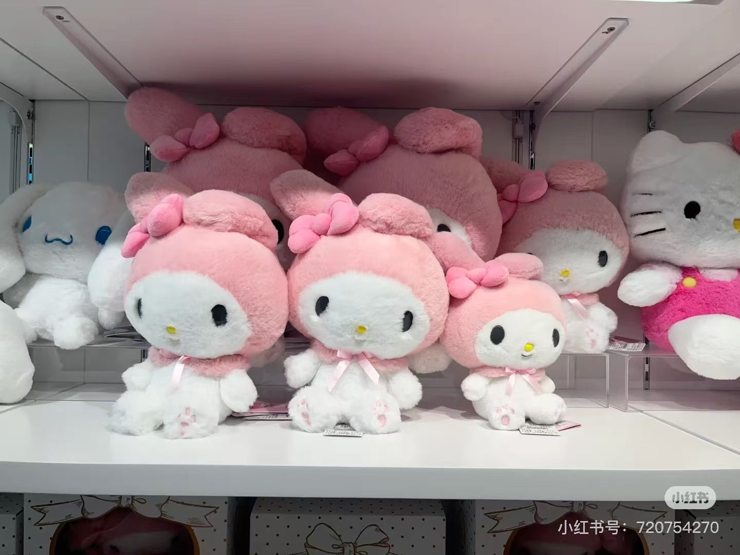 Sanrio｜Standard Plush Dolls/Plush Toy｜M/22×15×28.5cm approx.