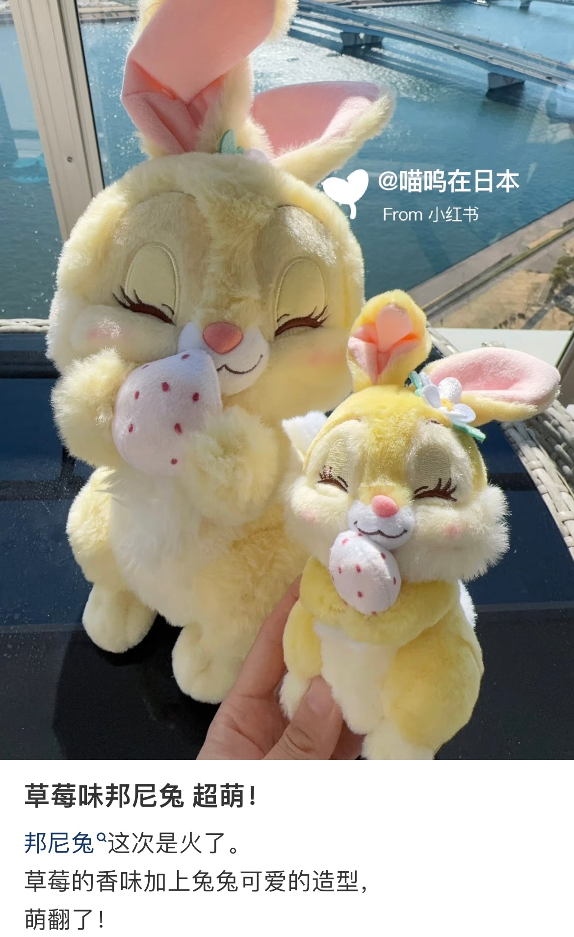 Disney｜Strawberry Collection with Strawberry Scent Plush Dolls/PlushToy｜ H19×W12×D12cm approx.