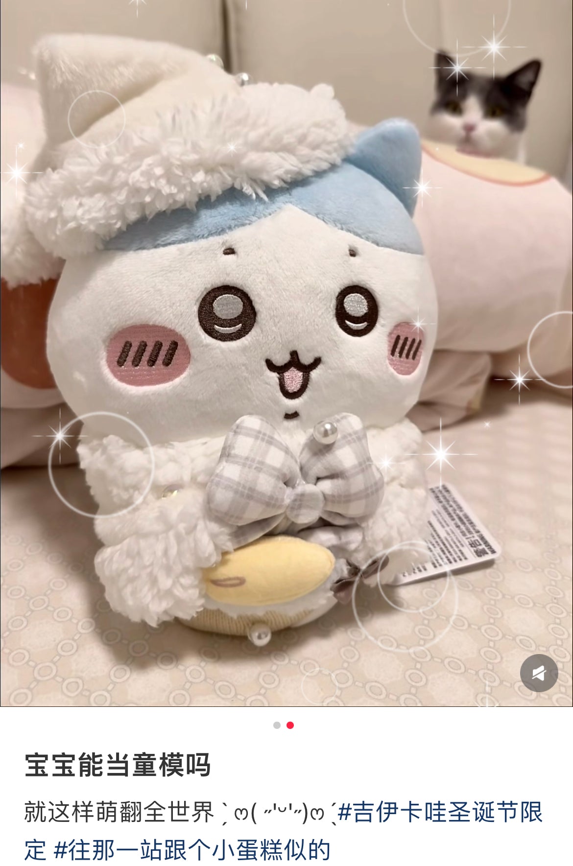 Chiikawa｜Present for You Plush Dolls/Plush Toy｜280×240×120mm approx.