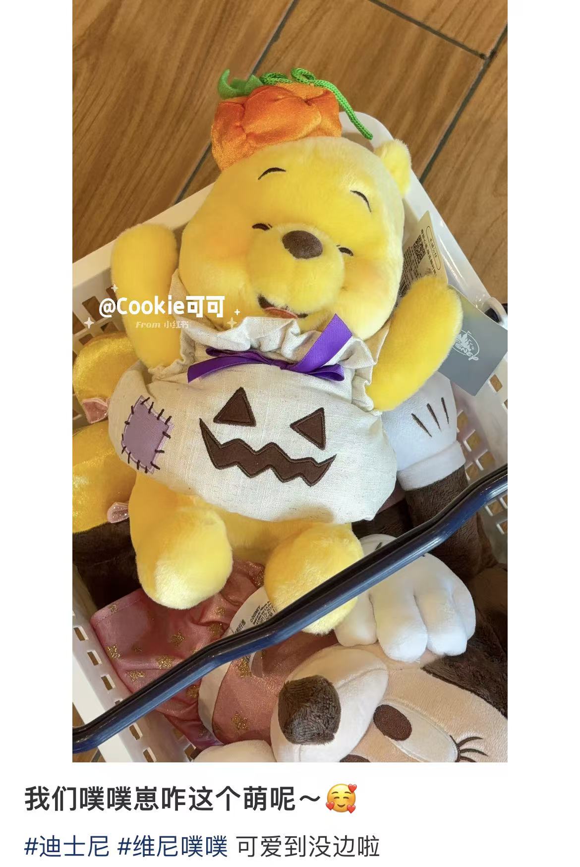 Disney｜Halloween Costume Plush Dolls/Plush Toy｜26×23×23cm approx.