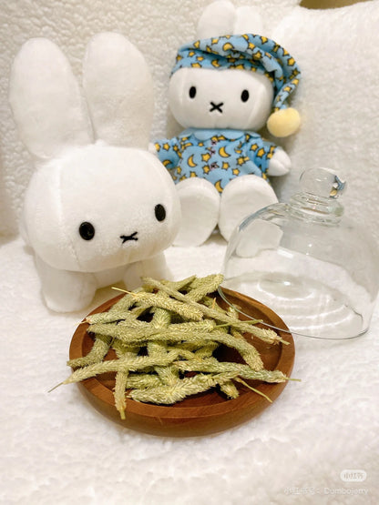 Miffy｜Sekiguchi Bruna Family Plush Toy SS Rabbit (White)｜6 x 8 x 15cm approx.