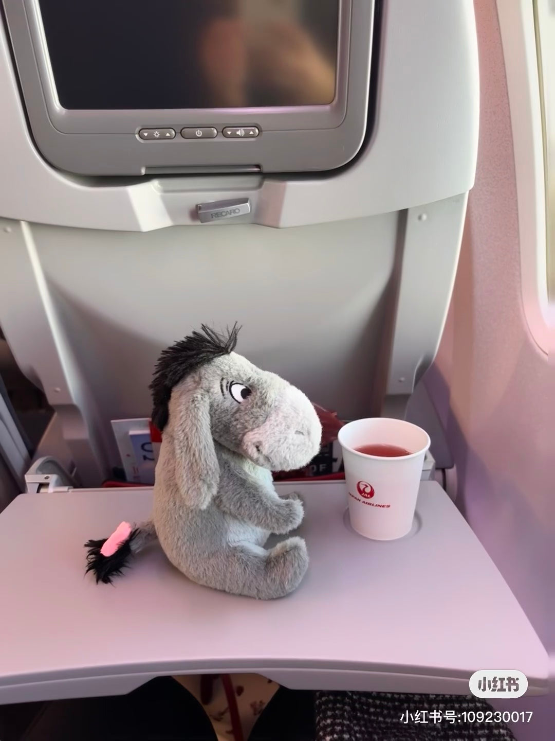 Disney迪士尼｜Fluffy Plushy Mini东迪超好摸毛绒绒迷你坐姿玩偶/公仔