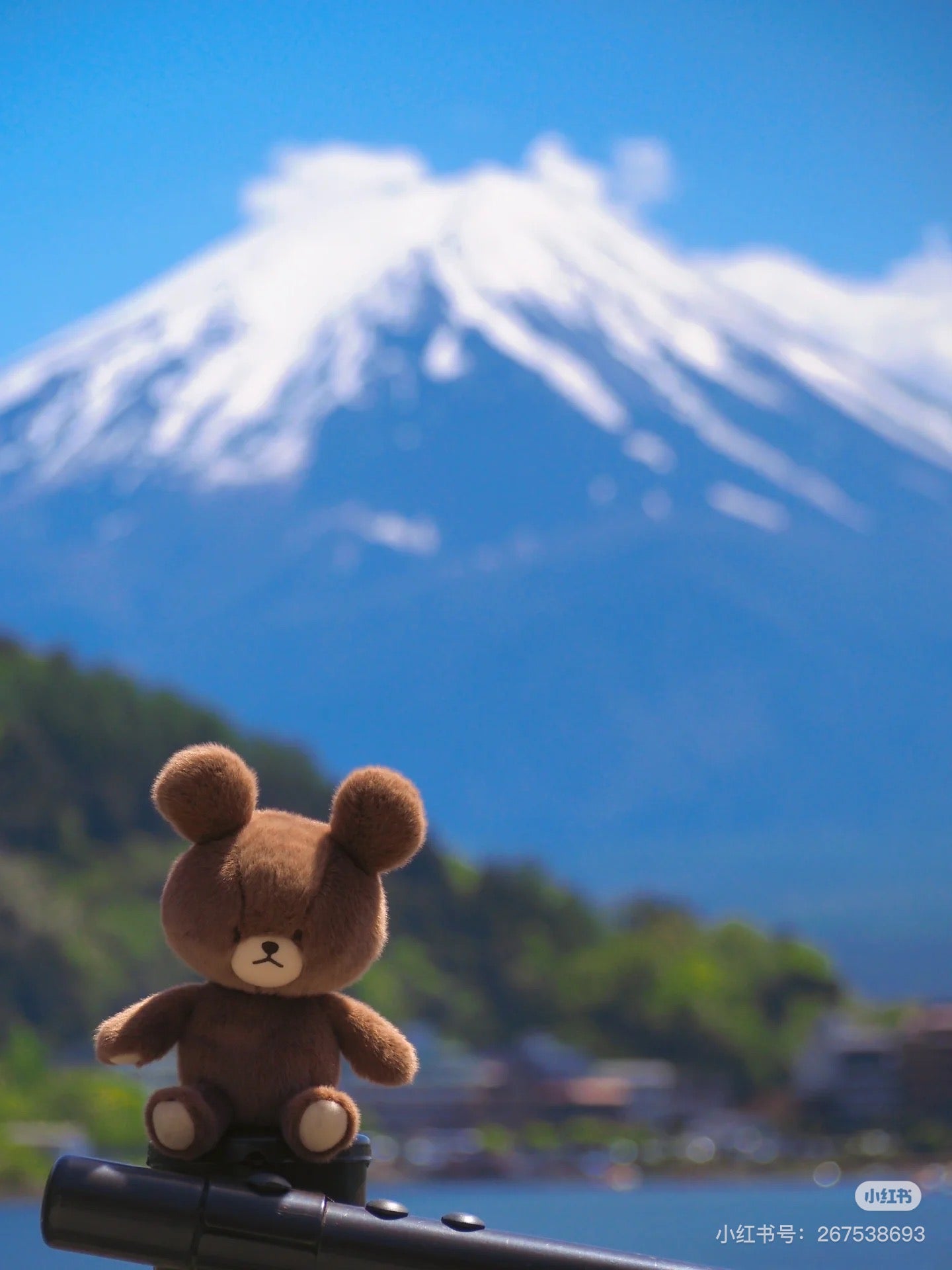 The bear’s school上学熊｜学院限定Jackie fluffy超柔软玩偶/公仔/手感超好｜约H22×W14×D9cm