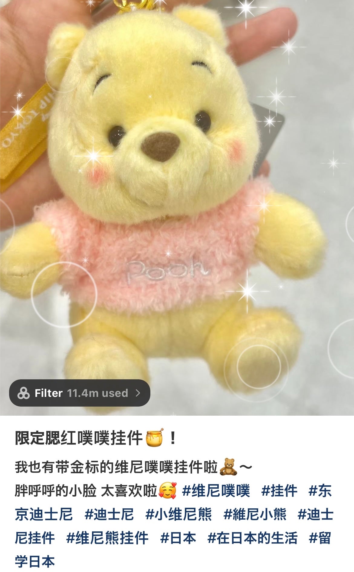 Disney｜东京新宿限定金标维尼/腮红噗噗挂件/微醺胖噗/圆溜溜眼睛/圆圆胖脸蛋