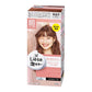 Kao｜Liese莉婕泡沫染发膏/染发剂｜108ml