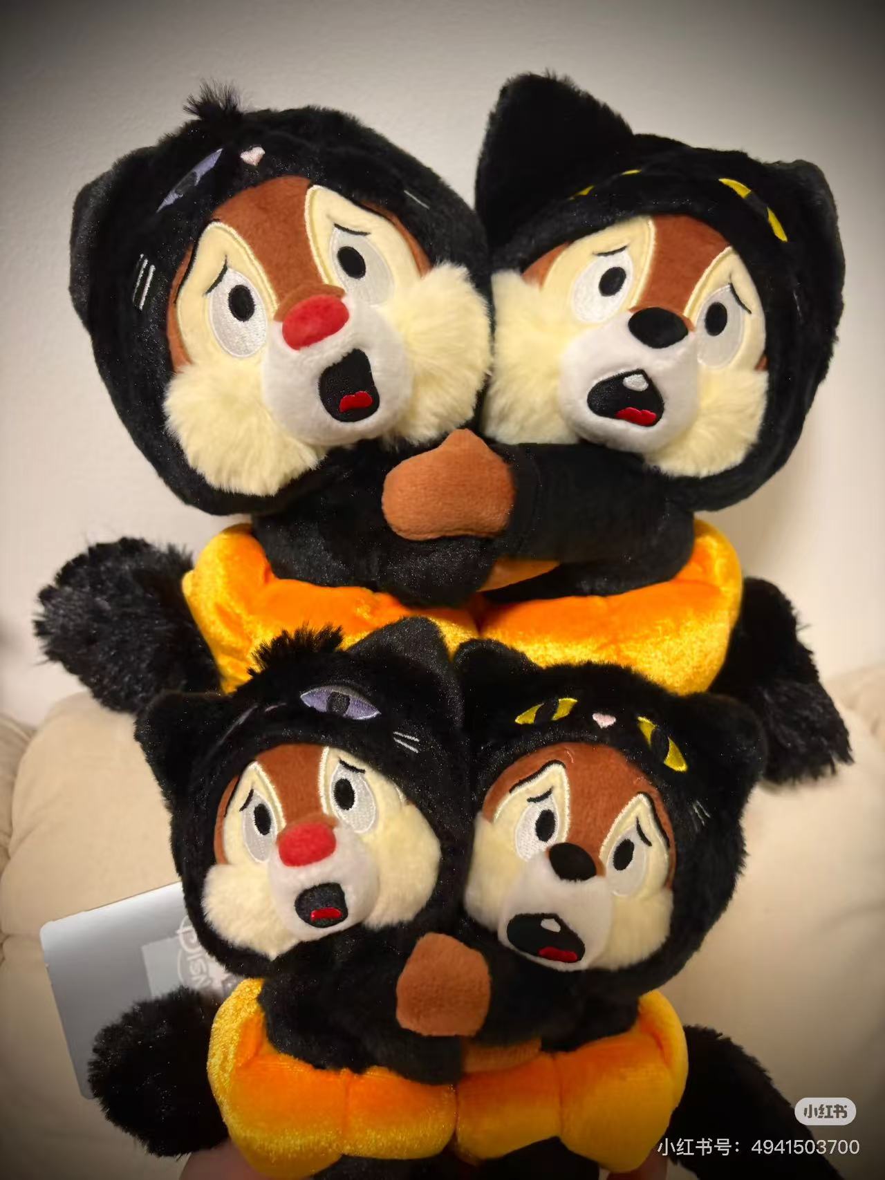 Disney｜Halloween Costume Black Cat Pumpkin Chip &amp; DalePlush Dolls/Plush Toy｜23×27.5×12.5cm approx.