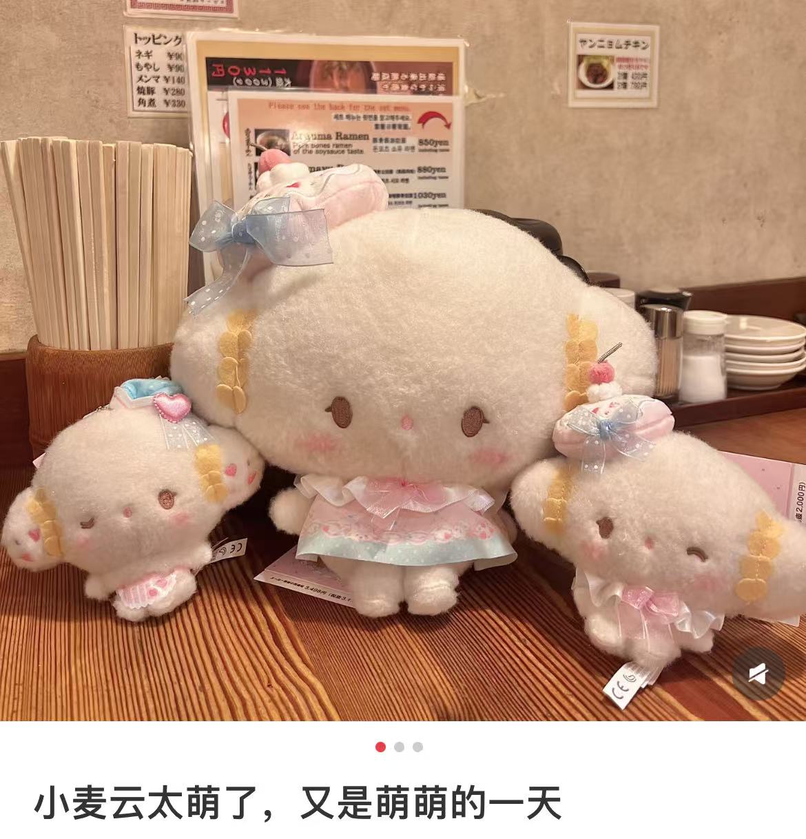 【limit 1】Sanrio｜Cogimyun Sweets Party 10th Anniversary Plush Dolls/Plush Toy｜24.5×12×20cm approx.