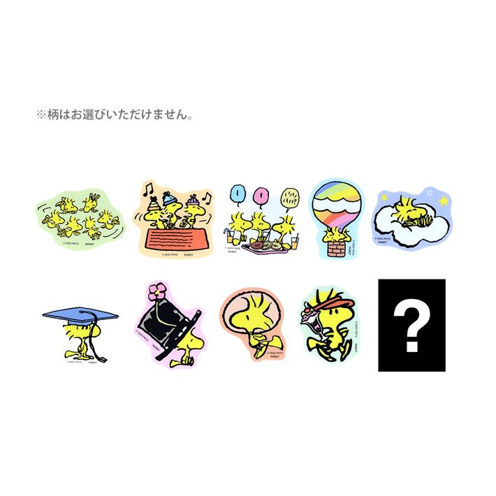 Snoopy｜Peanuts Acrylic Magnet mystery bag/blind box/All 10 types｜1pcs