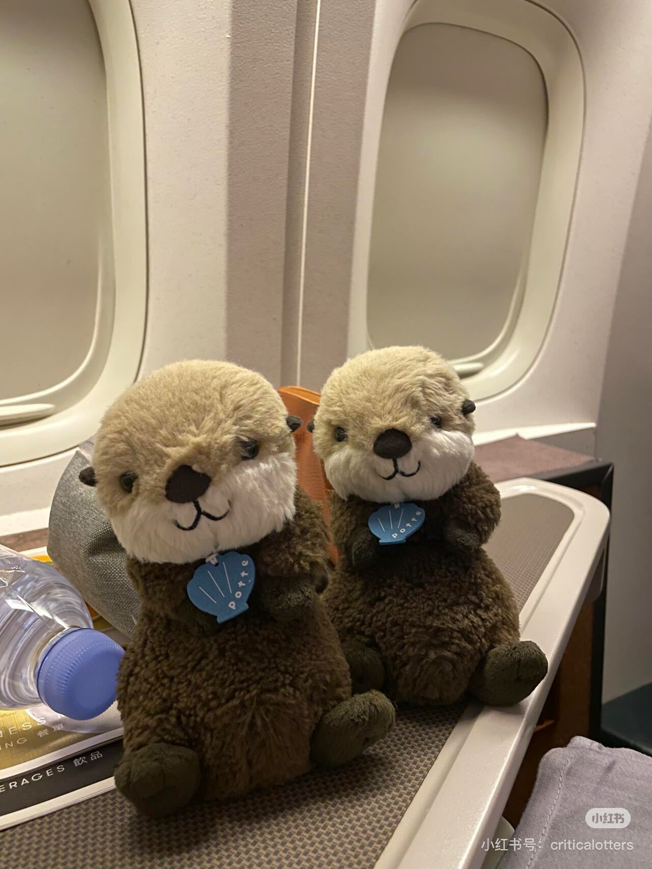 potte｜Animal motif stuffed sea otter Plush Dolls/PlushToy｜W9 x H9 x D16cm approx.