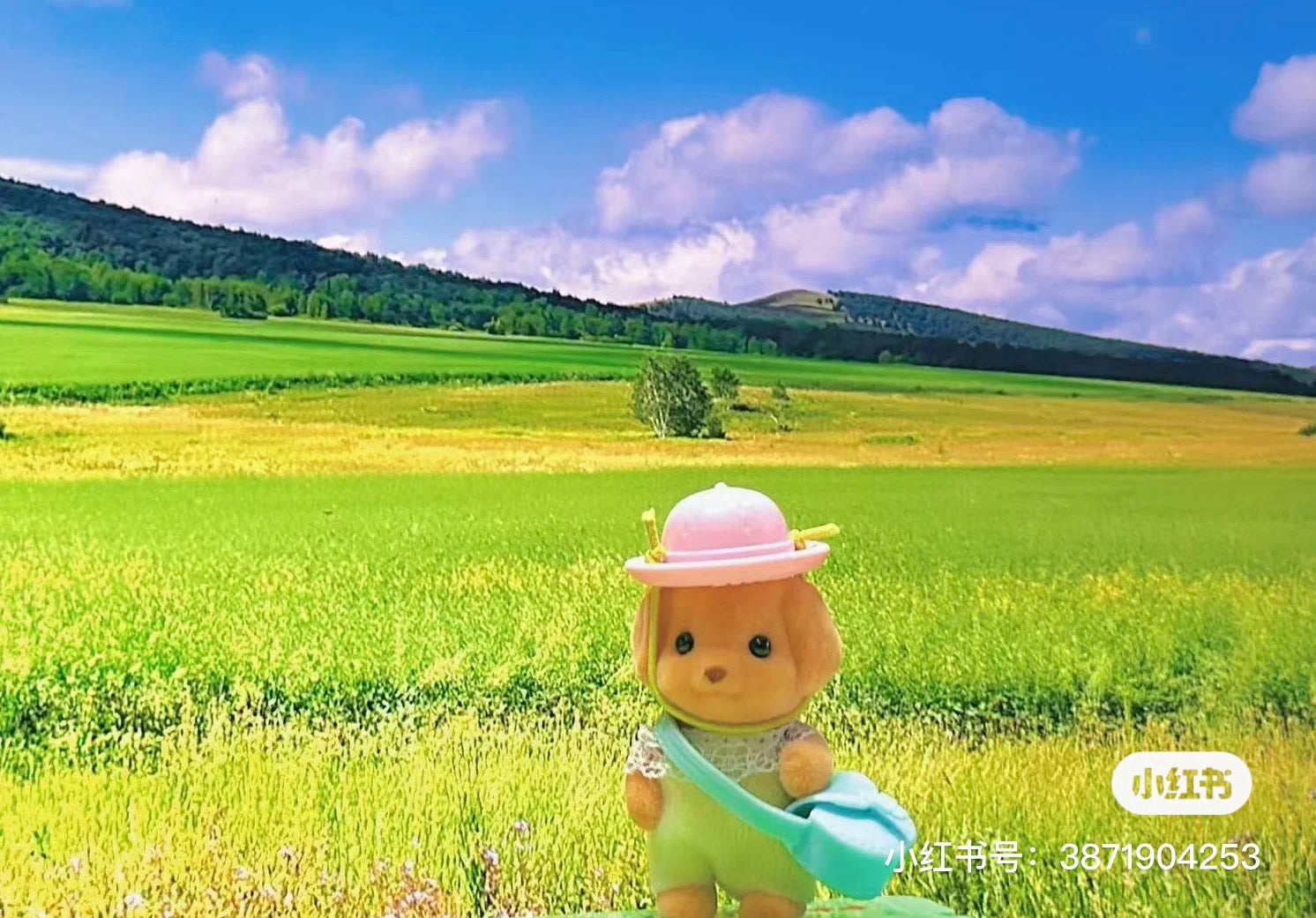 【还有补货，限购1】SylvanianFamilies森贝儿家族｜Toy Poodle Baby贵宾犬Milo包包帽子站宝套装/四肢可活动/玩具/过家家