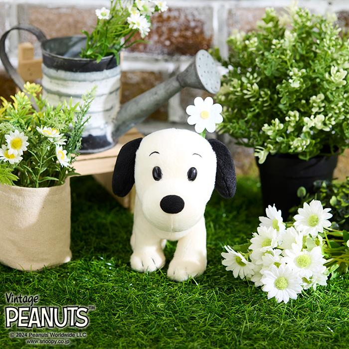 Snoopy｜Peanuts Plush Dolls/Plush Toy｜S/H18 x W8 x D21cm approx.
