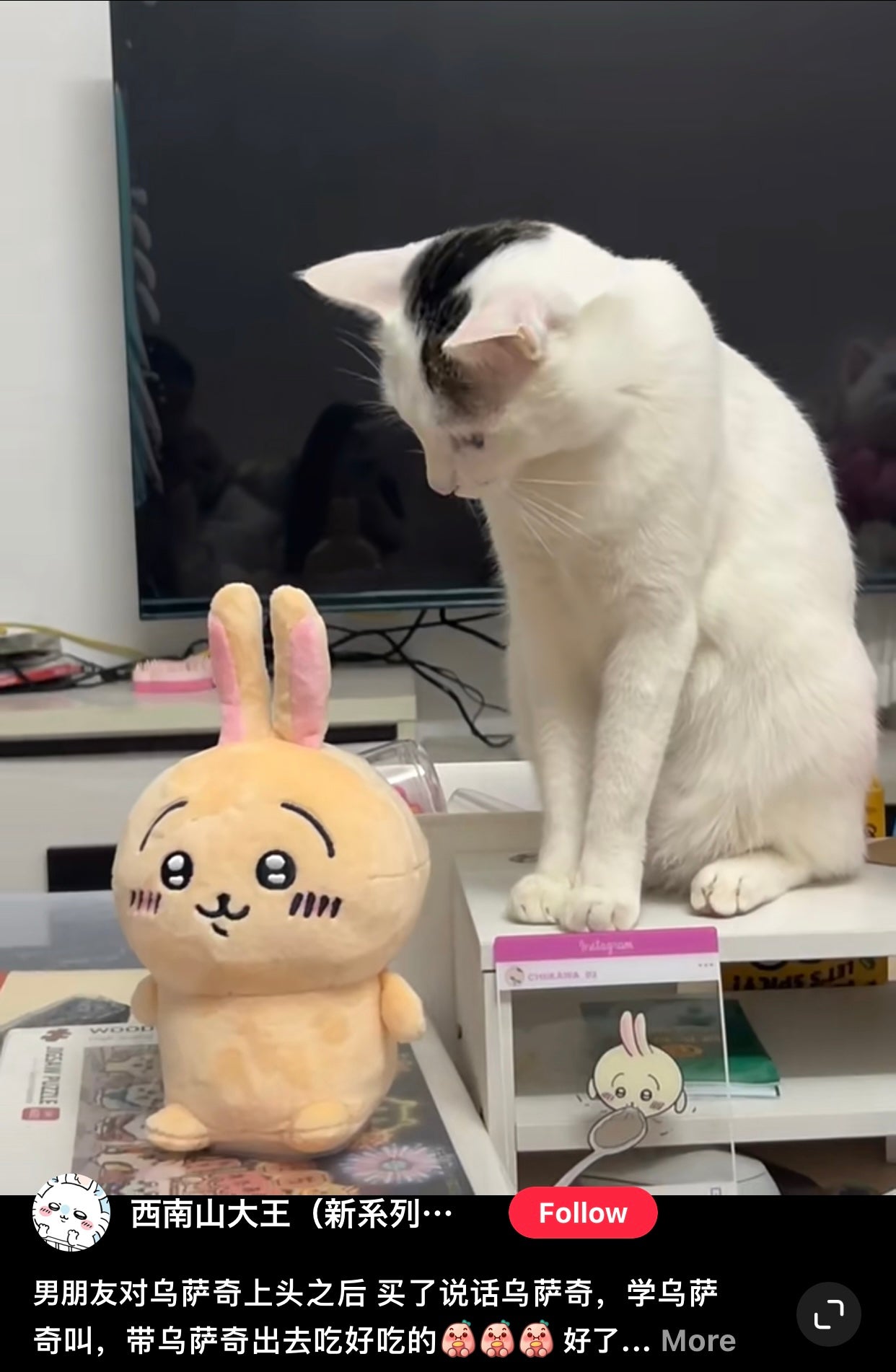 Chiikawa 吉伊卡哇｜会模仿说话/会动的发声公仔/玩偶｜約H210×W150×D120mm