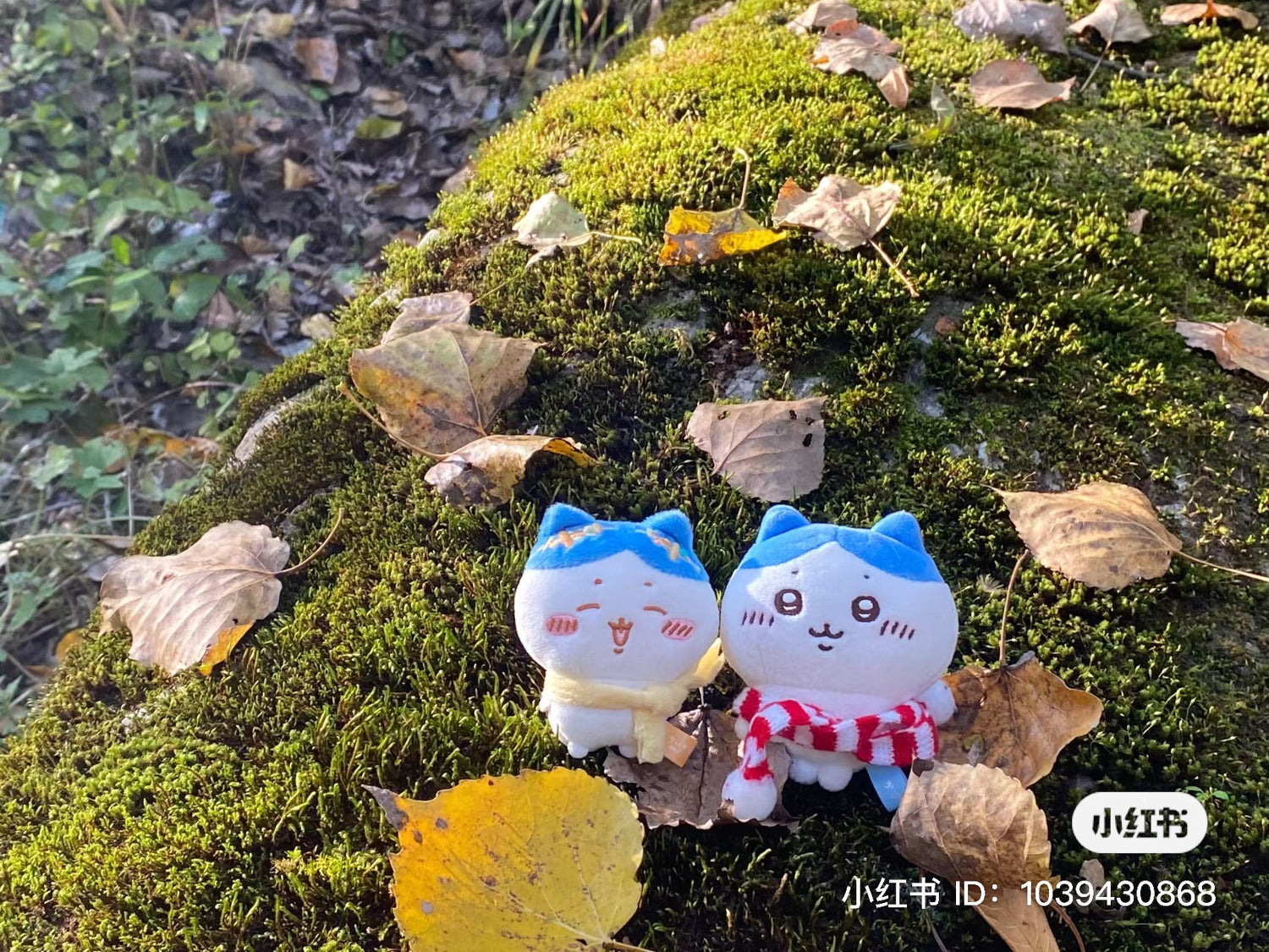 Chiikawa 吉伊卡哇｜金木犀桂花系列限定公仔笔/可改造成小公仔/笔身变身小围巾｜0.7mm