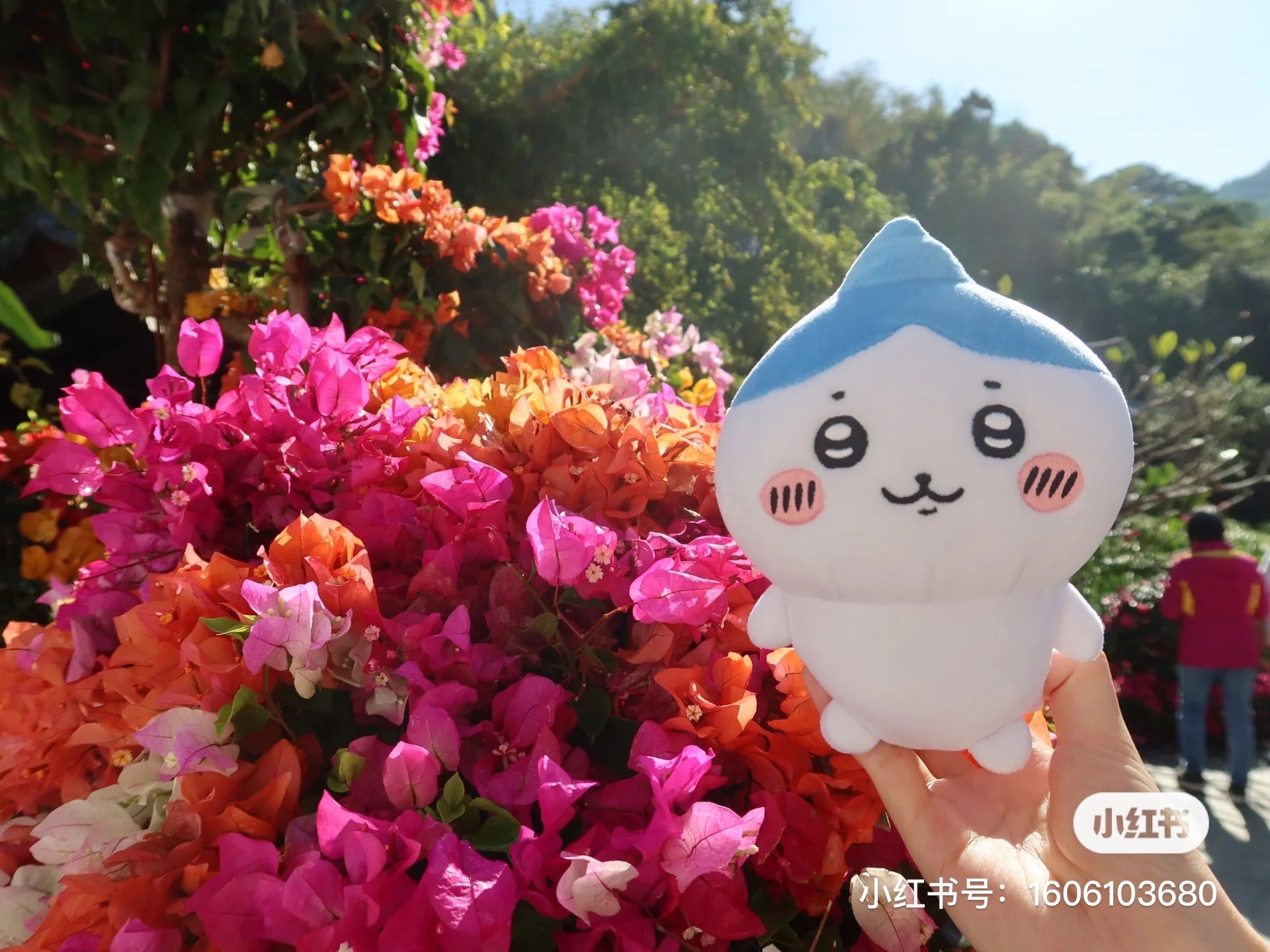 Chiikawa 吉伊卡哇｜蒜头小八公仔/玩偶｜约H160×W110×D80mm