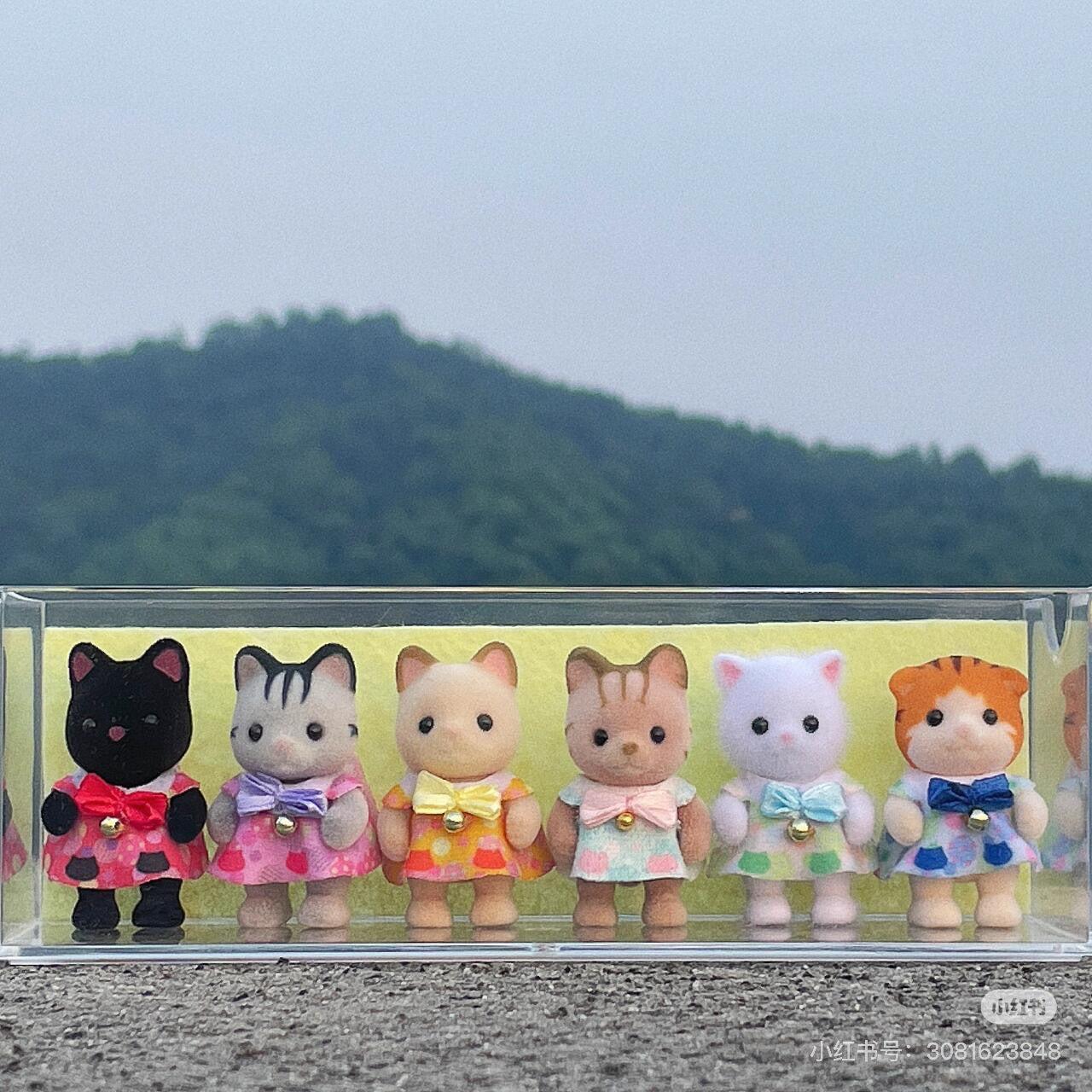 【limit 1】SylvanianFamilies｜Baby Cat Set 5 Babies Doll Epoch Calico Critters