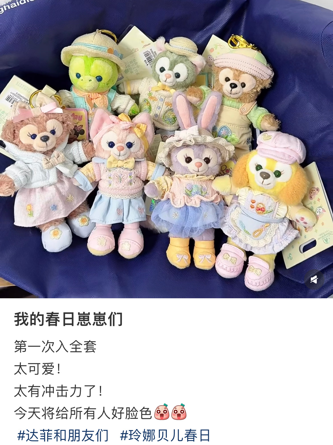 Disney SH｜2025 Spring Collection Duffy and friends Plush Dolls keychain/ Mascot holder