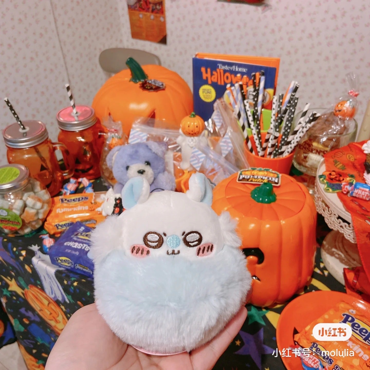 Chiikawa 吉伊卡哇｜手捧飞鼠/莫莫咖玩偶/公仔