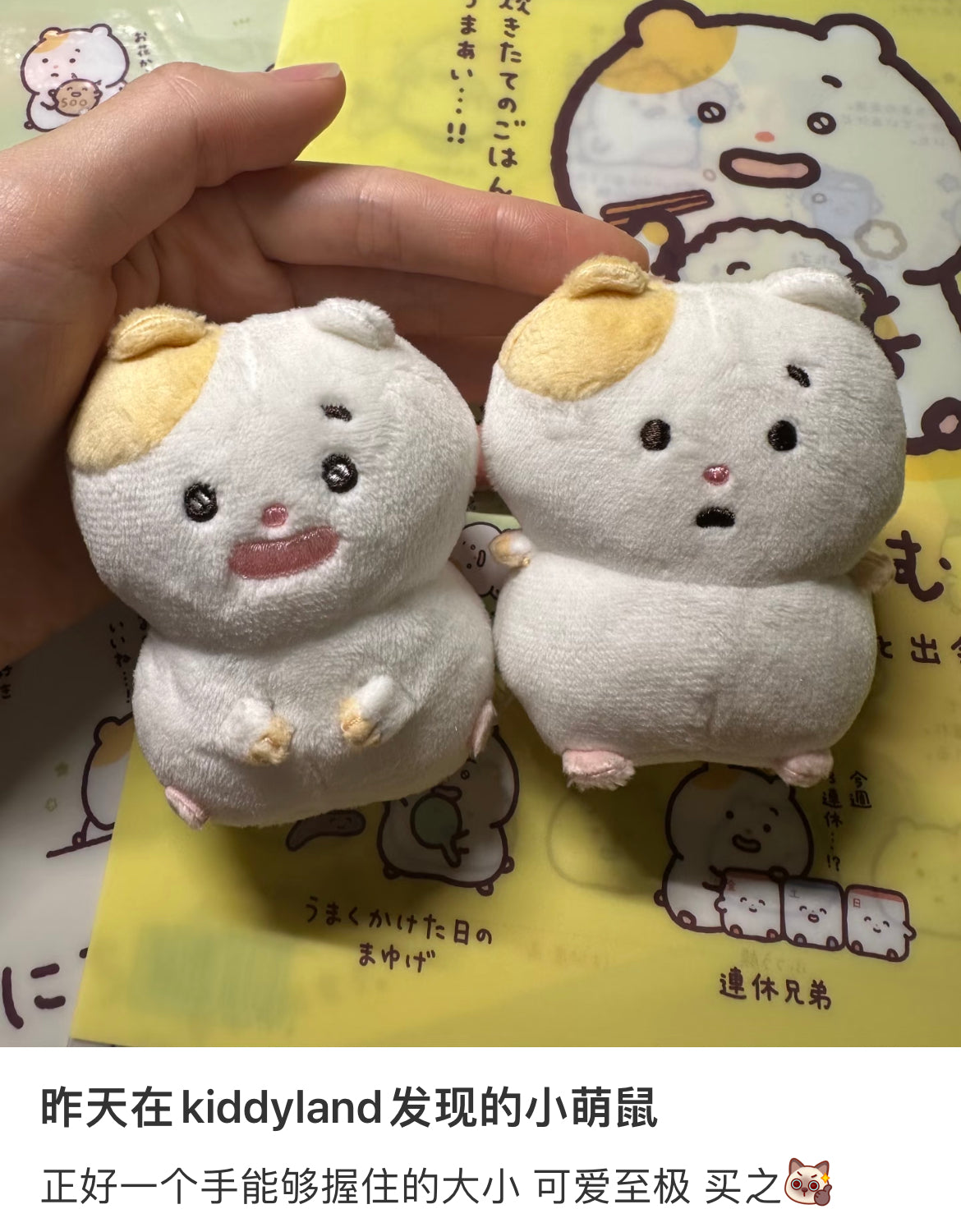 Sanx｜Little Moments of Joy Mainichi Hamuchima Tenori Plush (SS)｜70×65×45mm approx.