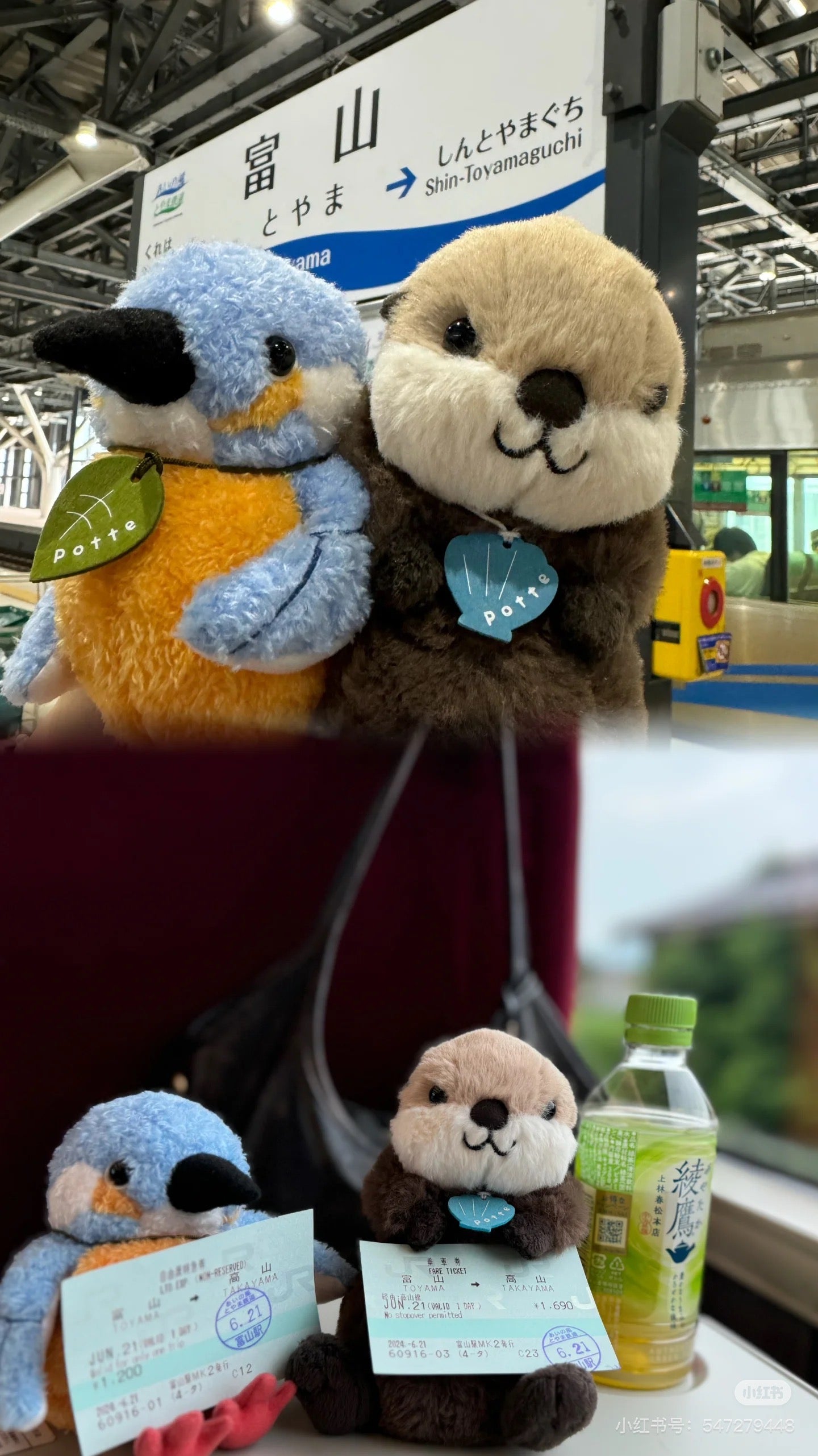 potte｜Animal motif stuffed sea otter Plush Dolls/PlushToy｜W9 x H9 x D16cm approx.