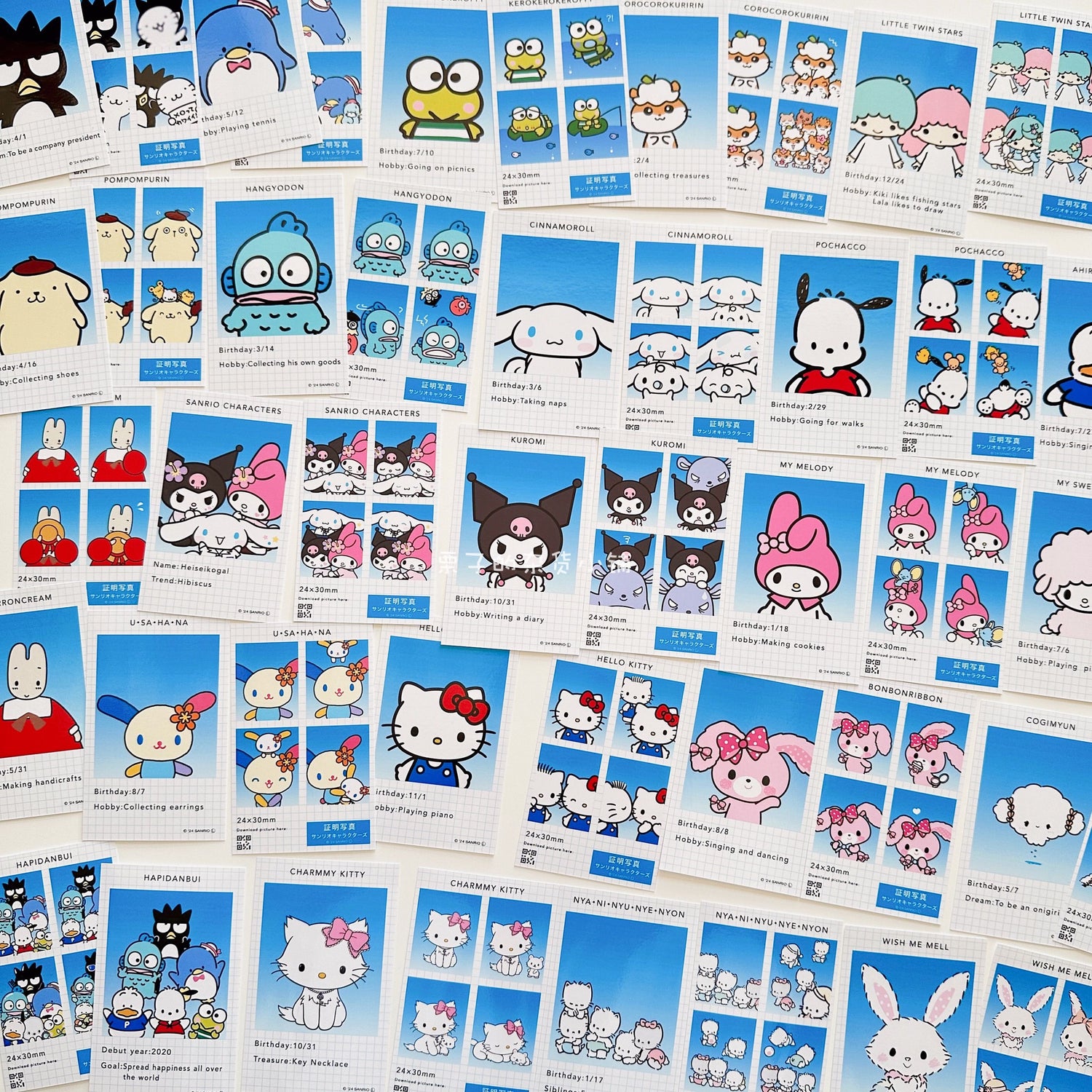 Sanrio｜Secret ID Photo Style Smartroid  mystery bag/blind box/All 24 types｜1pcs
