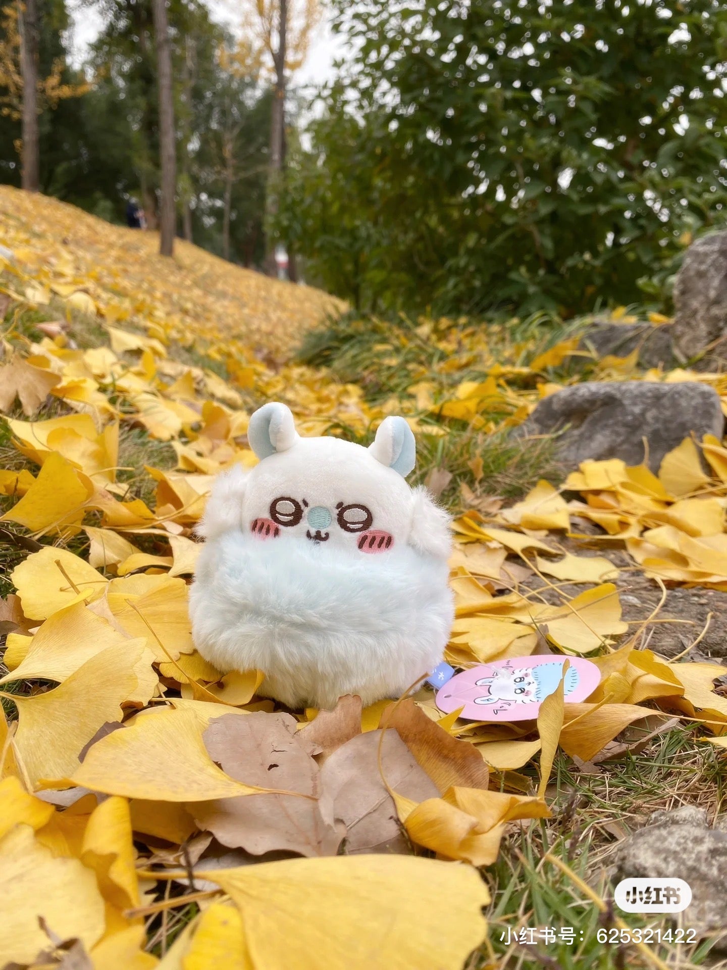 Chiikawa 吉伊卡哇｜手捧飞鼠/莫莫咖玩偶/公仔