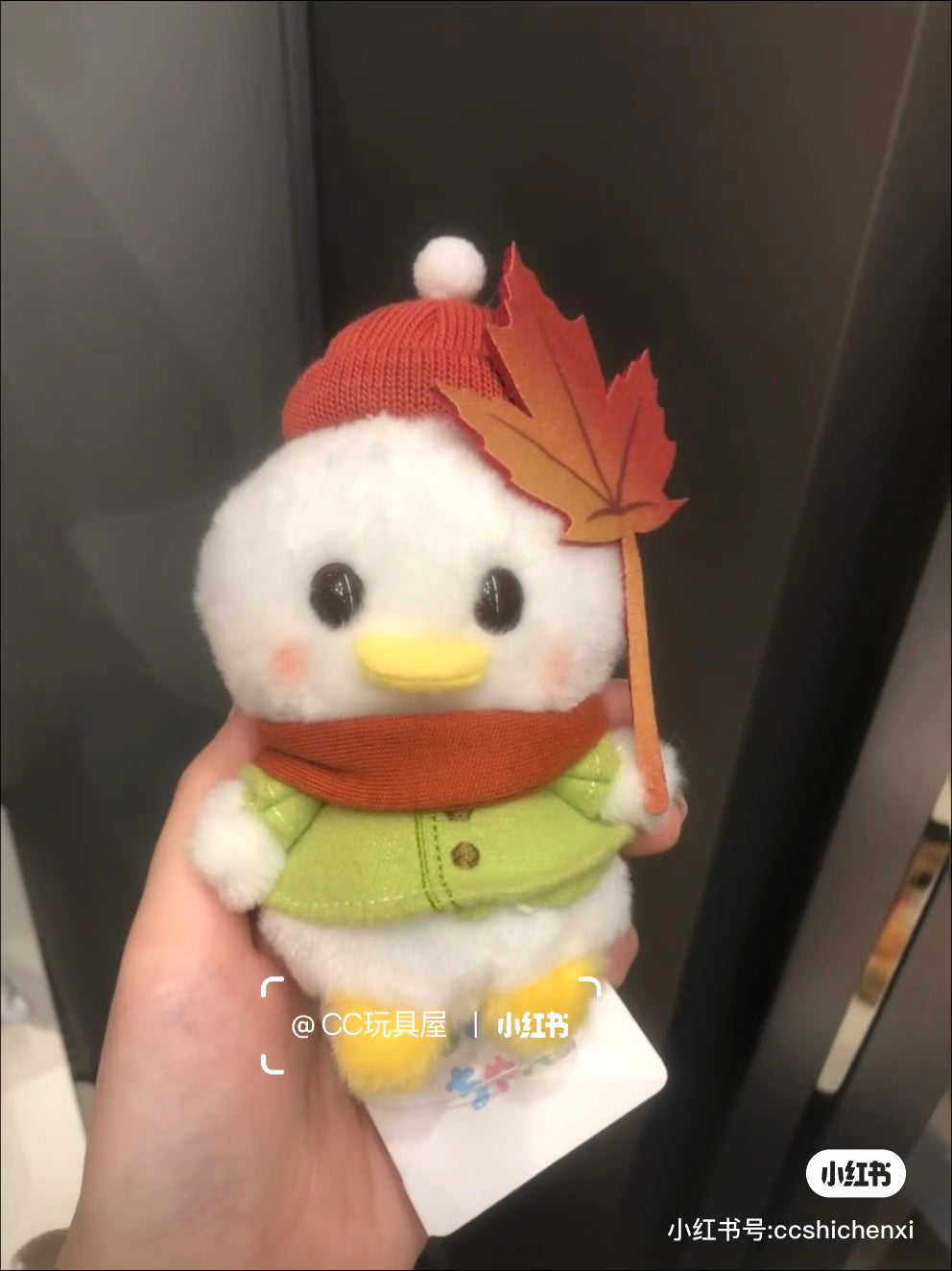 Disney｜Autumn Urupocha-chan Plush Dolls/Plush Toy｜13.5×9.5×6(cm) approx.