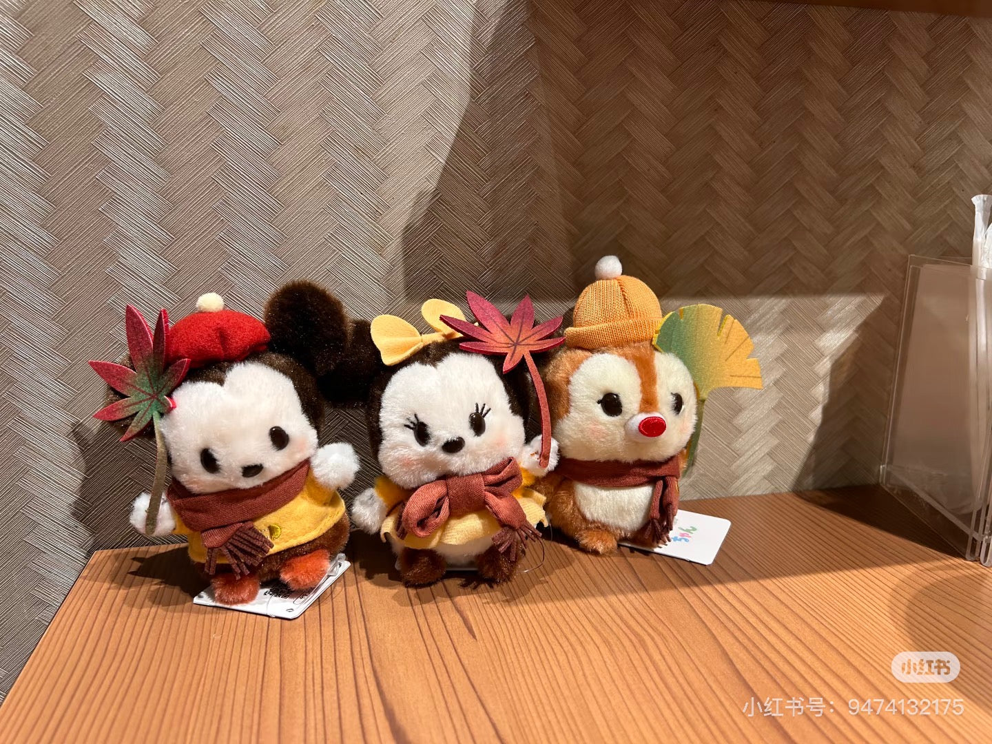 Disney｜Autumn Urupocha-chan Plush Dolls/Plush Toy｜13.5×9.5×6(cm) approx.