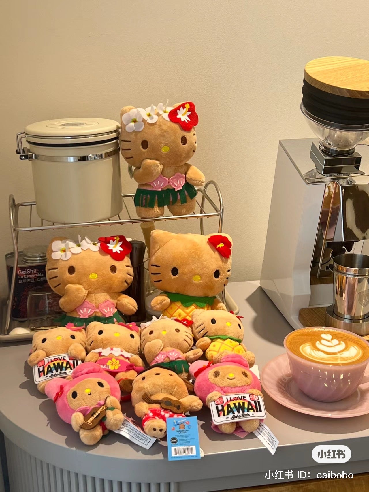 HelloKitty凯蒂猫｜HAWAII夏威夷黑皮kitty限定玩偶/公仔