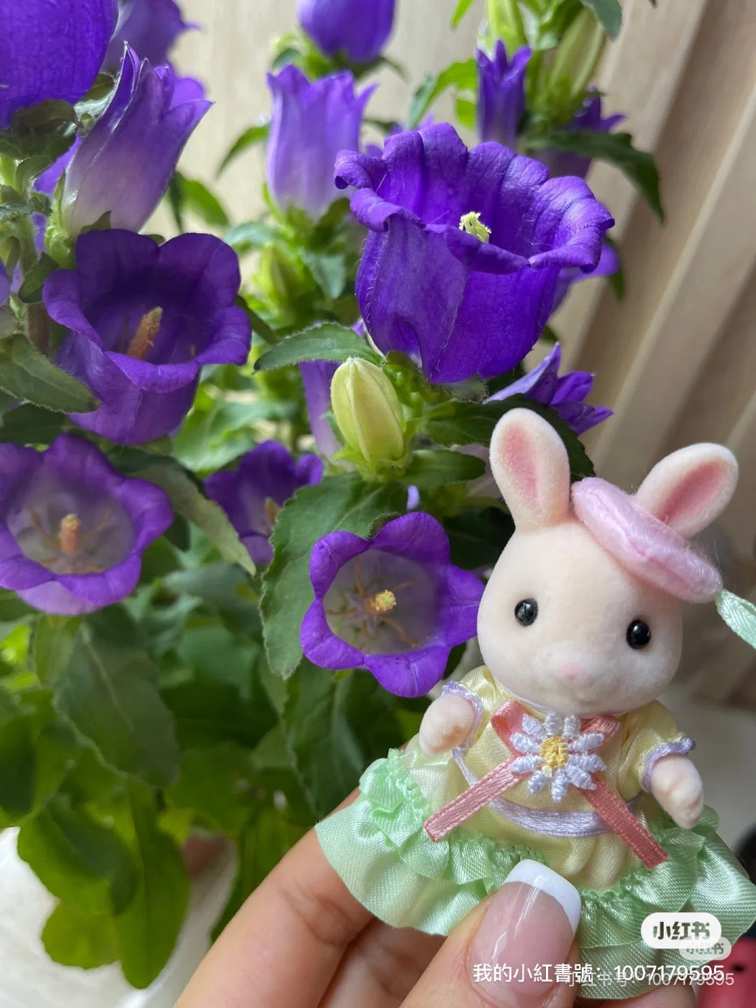 SylvanianFamilies森贝儿家族｜Easter Celebration Set复活节玛格丽兔情侣站宝套组/玩具/过家家5691