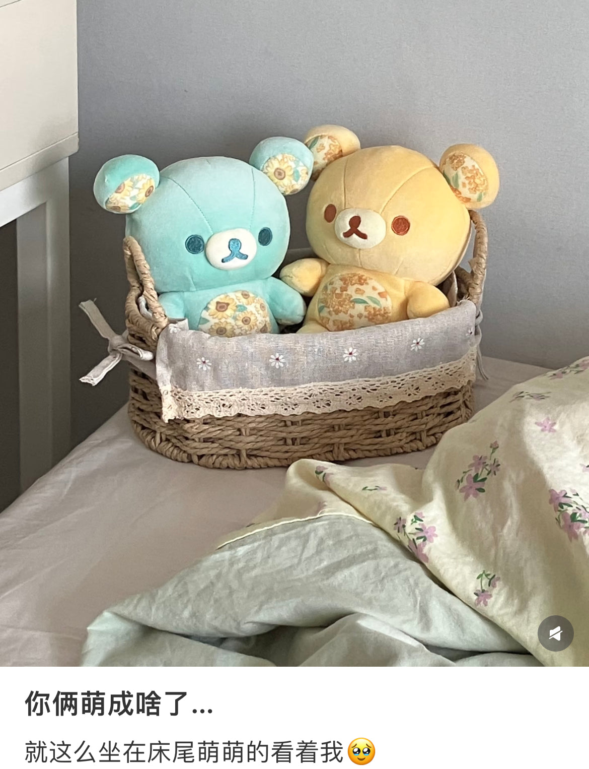 Rilakkuma｜Ginza limited 4 seasons Plush Dolls/Plush Toy｜190 x 170 x 120 mm approx.