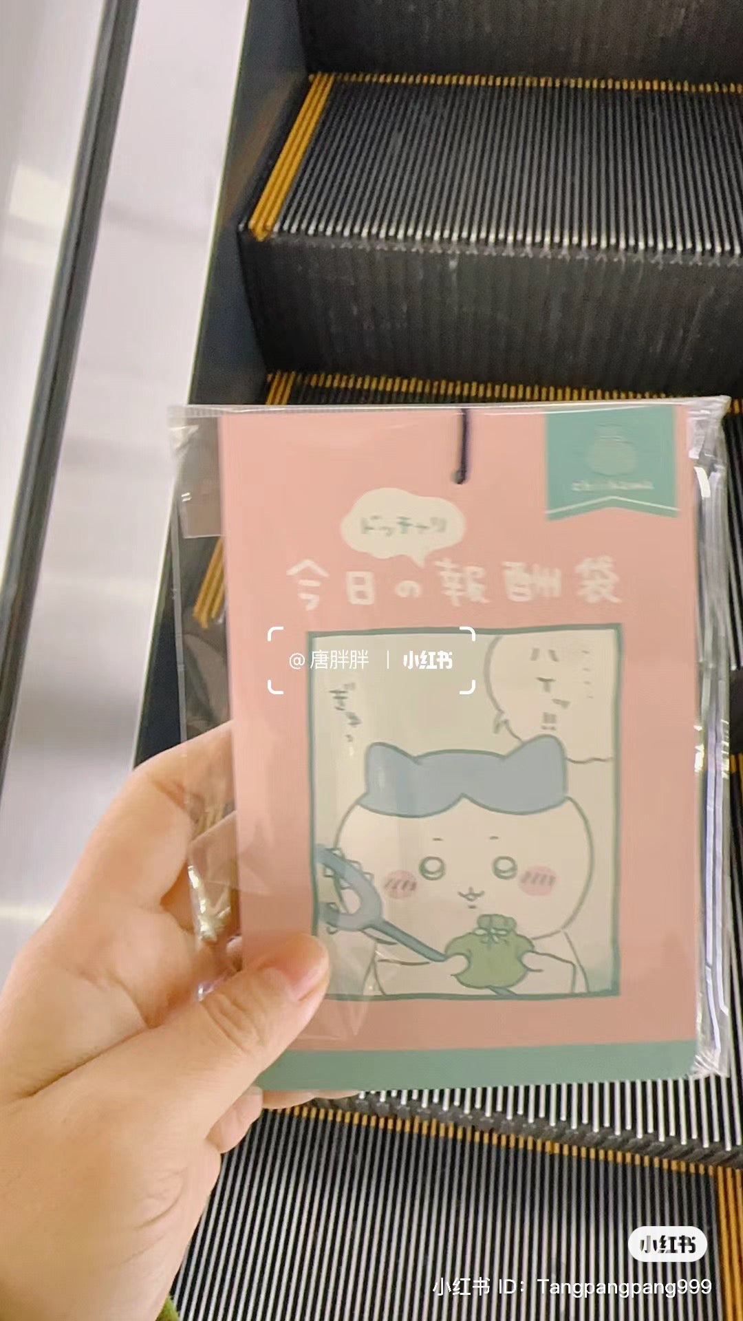 Chiikawa 吉伊卡哇｜类似盲盒的报酬袋/里面有角色图案卡/可搭配偶像应援卡包使用｜10张入