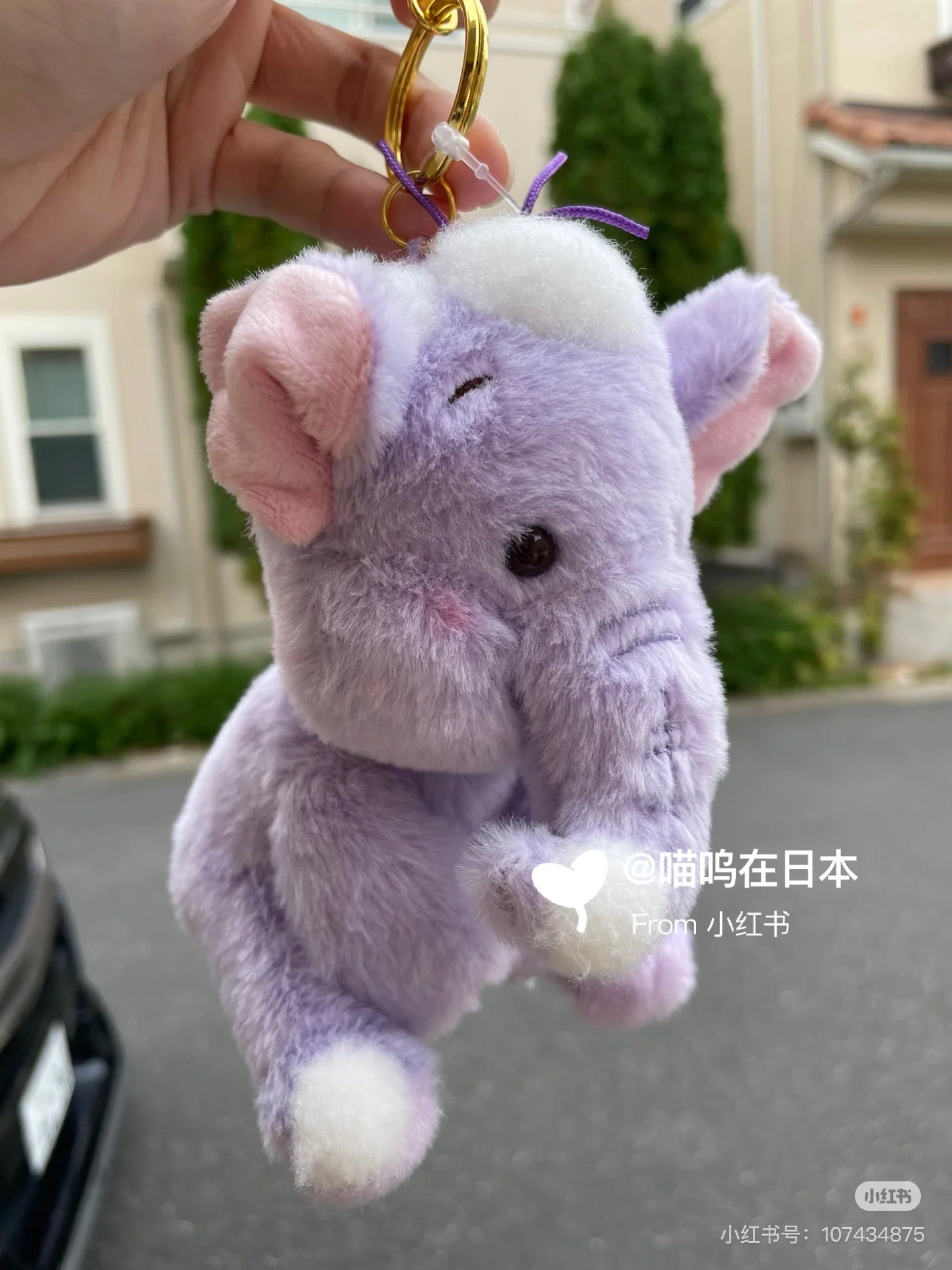 Disney｜white Pooh Mascot Holder /Plush Keychain｜H14xW12xD10.5cm approx.